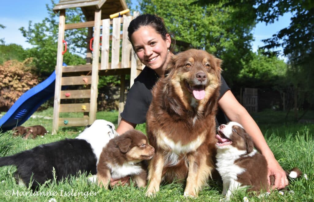 Femme et chiots Berger Australien joyeux en plein air Femme souriante avec un chien berger australien brun et quatre chiots, assis dans l'herbe devant une aire de jeux. Texte : ©Marianne Isslinger