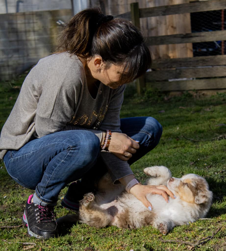 Jeu mère et chiot australien sur l'herbe ensoleillée Femme accroupie jouant avec un chiot de berger australien boueux allongé sur l'herbe par une journée ensoleillée.