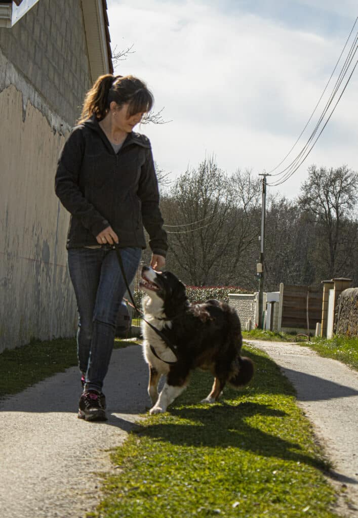 Femme promenant son chien sur un chemin ensoleillé Femme promenant son chien border collie noir et blanc en laisse sur un chemin de campagne ensoleillé avec des arbres dénudés.