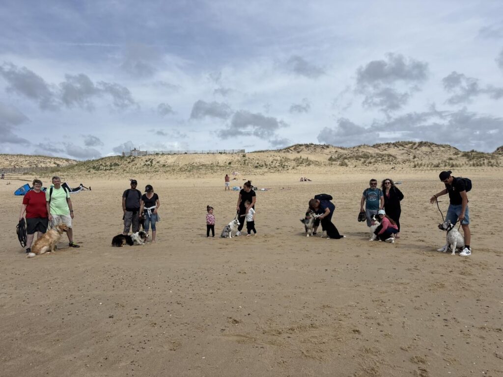 Randonnée plage et chiens : groupe avec Bergers Australiens Groupe de personnes et de chiens (Berger Australien ?) posant ensemble sur une plage de sable, avec des dunes en arrière-plan sous un ciel nuageux.