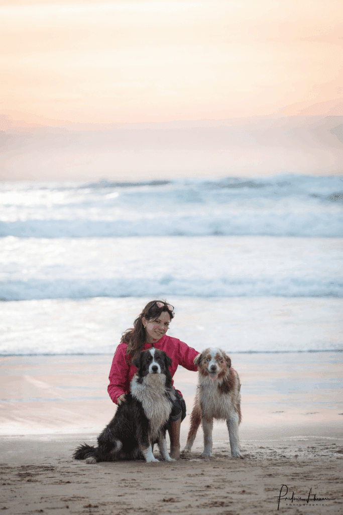 Bergers australiens et leur maîtresse sur la plage au crépuscule. Femme souriante avec ses deux Bergers Australiens sur une plage de sable mouillée. Vagues et ciel pastel au coucher du soleil.
