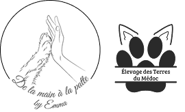 Logos De la main à la patte by Emma et Élevage des Terres du Médoc avec main, patte et oreilles d'animaux.